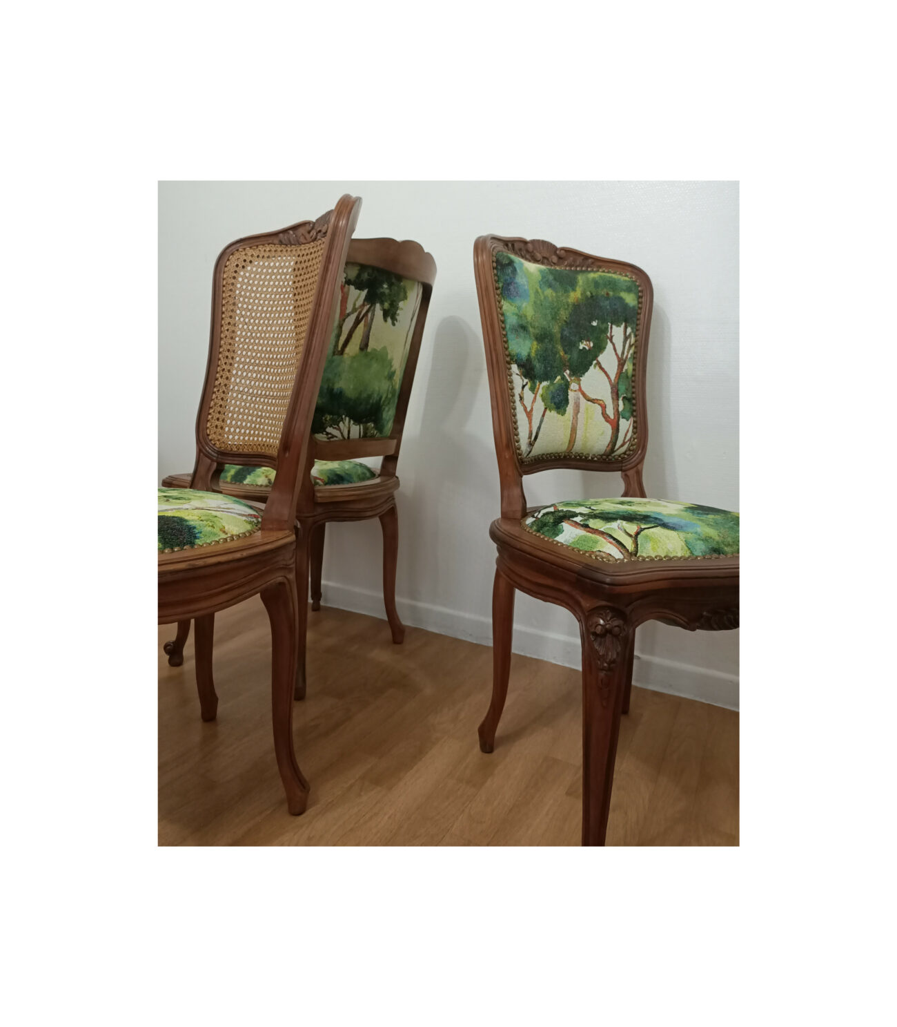 InShot 20251214 205449085