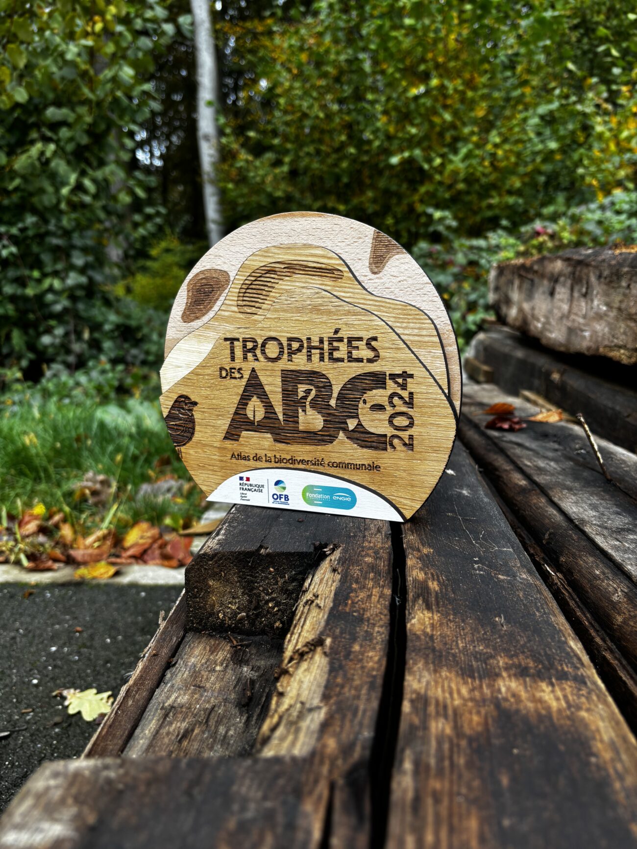 AD9514A0 1A69 4BFA AFC8 14B8E921A1F6 L0 001 21 10 2024 22 17 00